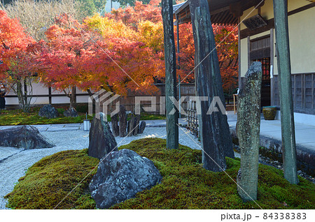 2021年錦秋の早朝に参拝した京都市圓光寺の枯山水庭園越しの紅葉が美しい 84338383