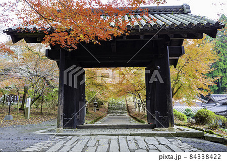 紅葉が美しい秋月城跡(福岡県朝倉市) 紅葉が美しい秋月城跡(福岡県朝倉市) 84338422