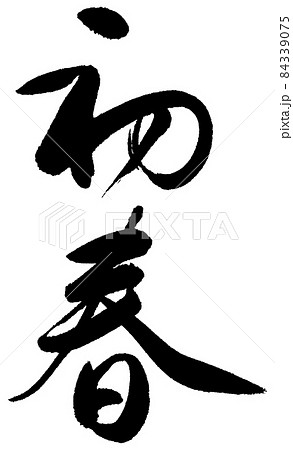 初春　白縁あり 84339075