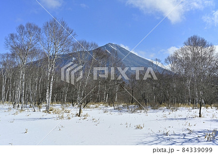 冬の戦場ヶ原に男体山と白樺の木々 冬の戦場ヶ原に男体山と白樺の木々 84339099