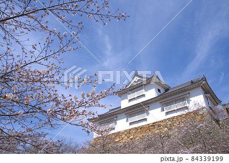 【日本100名城】津山城 満開のソメイヨシノと備中櫓と春の空10　岡山県津山市 84339199