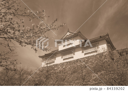 【日本100名城】津山城 見上げる備中櫓と満開のソメイヨシノ(セピア調)　岡山県津山市 84339202