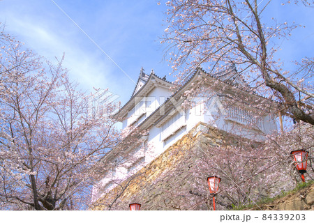 【日本100名城】津山城 見上げる備中櫓と満開のソメイヨシノ　岡山県津山市 84339203