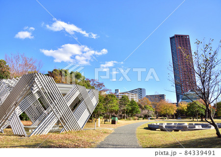 福岡アイランドシティ　アイランドシティ中央公園　ニュータウン風景　 84339491
