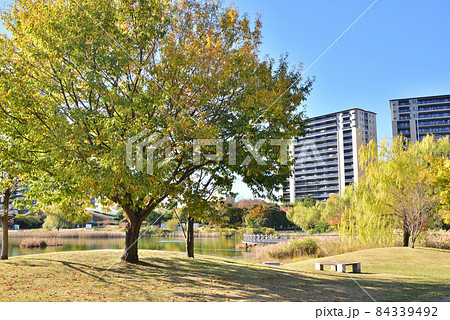福岡アイランドシティ　アイランドシティ中央公園　ニュータウン風景　 84339492