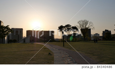 春 南山 公園 84340486