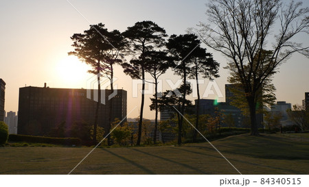春 南山 公園 84340515