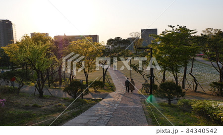 春 南山 公園 84340542