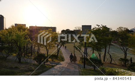 春 南山 公園 84340543