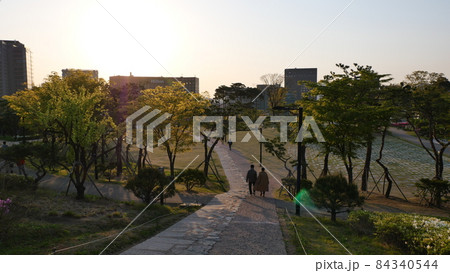 春 南山 公園 84340544
