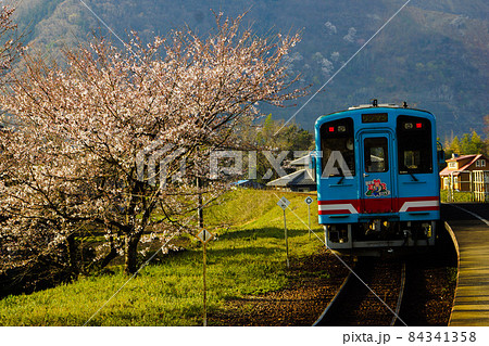 春の樽見鉄道の風景 谷汲口駅付近 春の樽見鉄道の風景 谷汲口駅付近 84341358