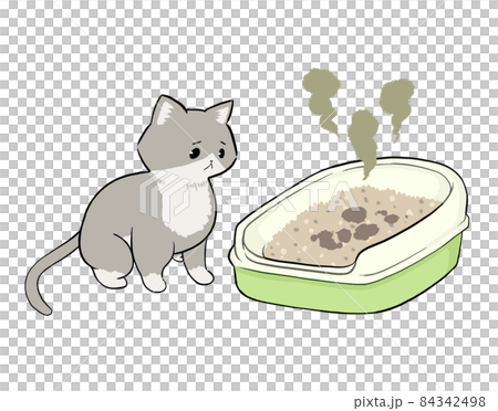 トイレが汚れていて困っている猫 84342498
