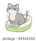 猫用トイレで踏んばる猫 84342502