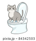 人間用トイレに座る猫 84342503