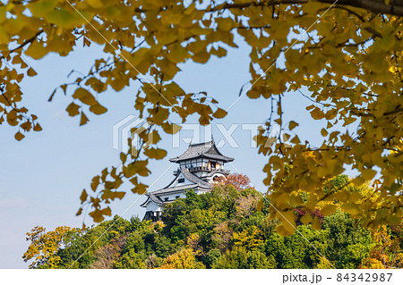 秋の国宝犬山城〈愛知県犬山市〉 秋の国宝犬山城〈愛知県犬山市〉 84342987