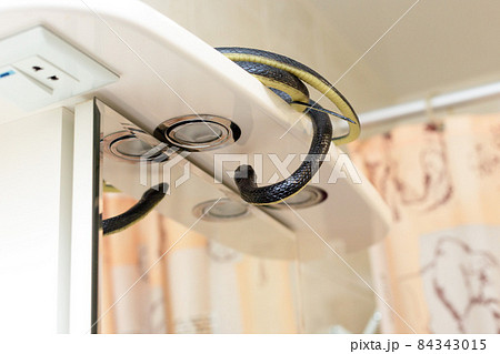 A venomous black snake lurking in the bathroom by the mirror 84343015