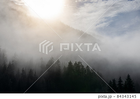 Heavy fog after rain in the forest of the Italian Alps Heavy fog after rain in the forest of the Italian Alps 84343145