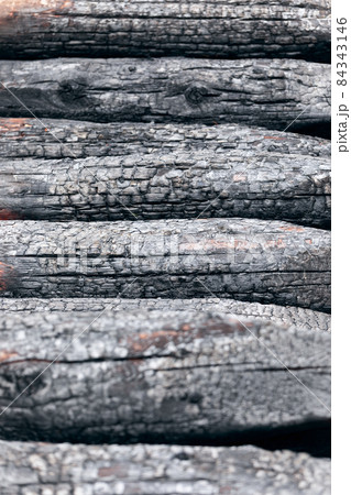 Burnt tree trunks pattern (Selective focus) Burnt tree trunks pattern (Selective focus) 84343146