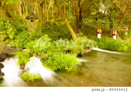 池と紅葉 池と紅葉 84343412