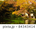 池と紅葉 84343414