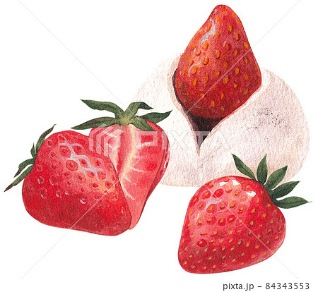 Wagashi Japanese Sweets Watercolor 84343553