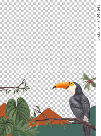 Hornbills Bird frame Watercolor Illustration Hornbills Bird frame Watercolor Illustration 84343645