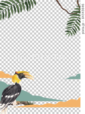 Hornbills Bird frame Watercolor Illustration Hornbills Bird frame Watercolor Illustration 84343646