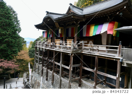 【京都】狸谷山不動院(秋) 【京都】狸谷山不動院(秋) 84343722