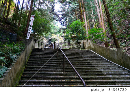 【京都】狸谷山不動院(秋) 【京都】狸谷山不動院(秋) 84343729