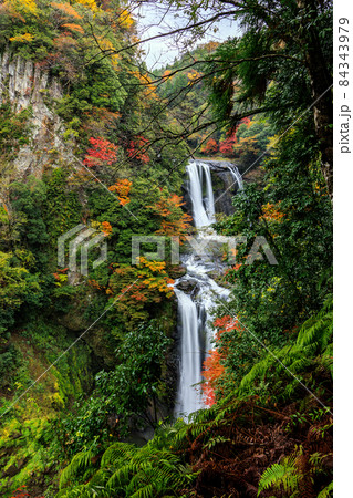 鵜の子滝 84343979
