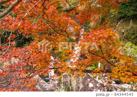 紅葉と滝 84344545