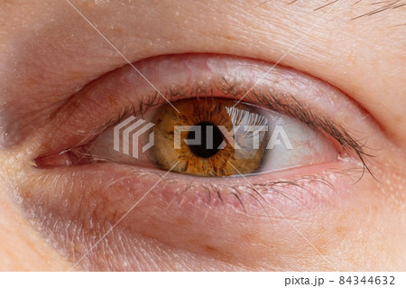 human pupil close-up of brown color human pupil close-up of brown color 84344632