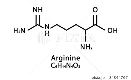 Arginine molecular structure. L-arginine skeletal chemical formula. Chemical molecular formula vector illustration 84344767