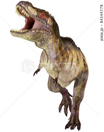 T-REX☆ティラノサウルス☆Tyrannosaurのイラスト素材 [84344778] - PIXTA