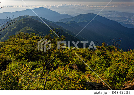 丹沢表尾根から見る朝の三ノ塔・大山と湘南の海 84345282