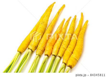 沖縄シマニンジン 84345811