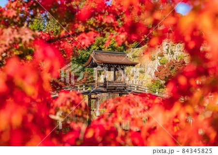 秋の虎渓山永保寺〈岐阜県多治見市〉 84345825