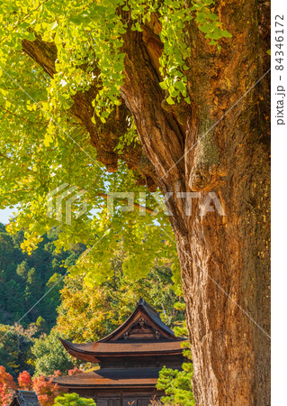 秋の虎渓山永保寺〈岐阜県多治見市〉 84346172