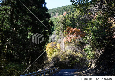 群馬県　桐生市　桐生川上流　林道三境線の三境隧道付近の林道 84346880