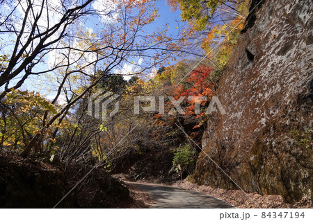 群馬県 桐生市 桐生川上流から草木湖を結ぶ林道三境線の、みどり市側の林道の紅葉 群馬県 桐生市 桐生川上流から草木湖を結ぶ林道三境線の、みどり市側の林道の紅葉 84347194