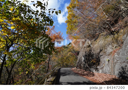 群馬県　桐生市　桐生川上流から草木湖を結ぶ林道三境線の、みどり市側の林道の紅葉 84347200
