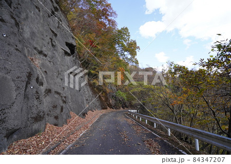 群馬県　桐生市　桐生川上流から草木湖を結ぶ林道三境線の、みどり市側の林道の紅葉 84347207