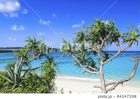 米崎ビーチ 野甫大橋 伊平屋島 米崎ビーチ 野甫大橋 伊平屋島 84347398