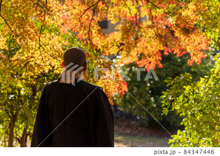 紅葉とお坊さん 紅葉とお坊さん 84347446