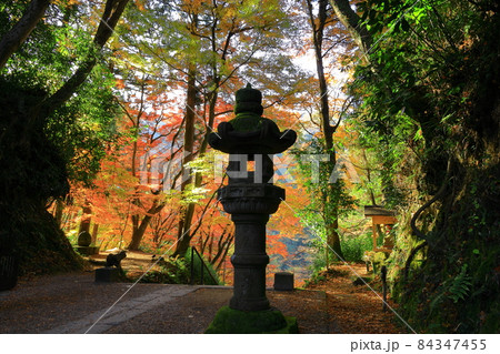 愛知県豊田市足助町　香積寺の参道から眺める香嵐渓の紅葉と巴川 84347455
