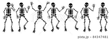 Set of halloween skeletons on white background - Vector Set of halloween skeletons on white background - Vector 84347481
