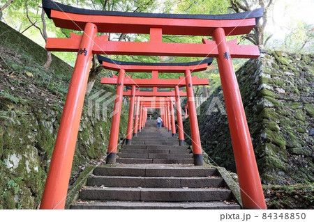 出石城跡の紅葉 84348850