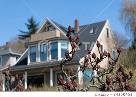insure housing. insurance concept. family cottage. dwelling with trees. insure housing. insurance concept. family cottage. dwelling with trees. 84350453