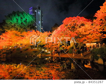 広島縮景園　もみじまつりライトアップ 84351267
