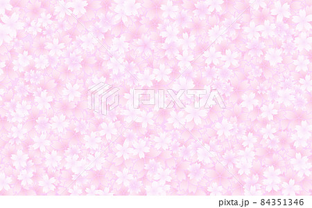 春の背景素材、桜の花びら 春の背景素材、桜の花びら 84351346